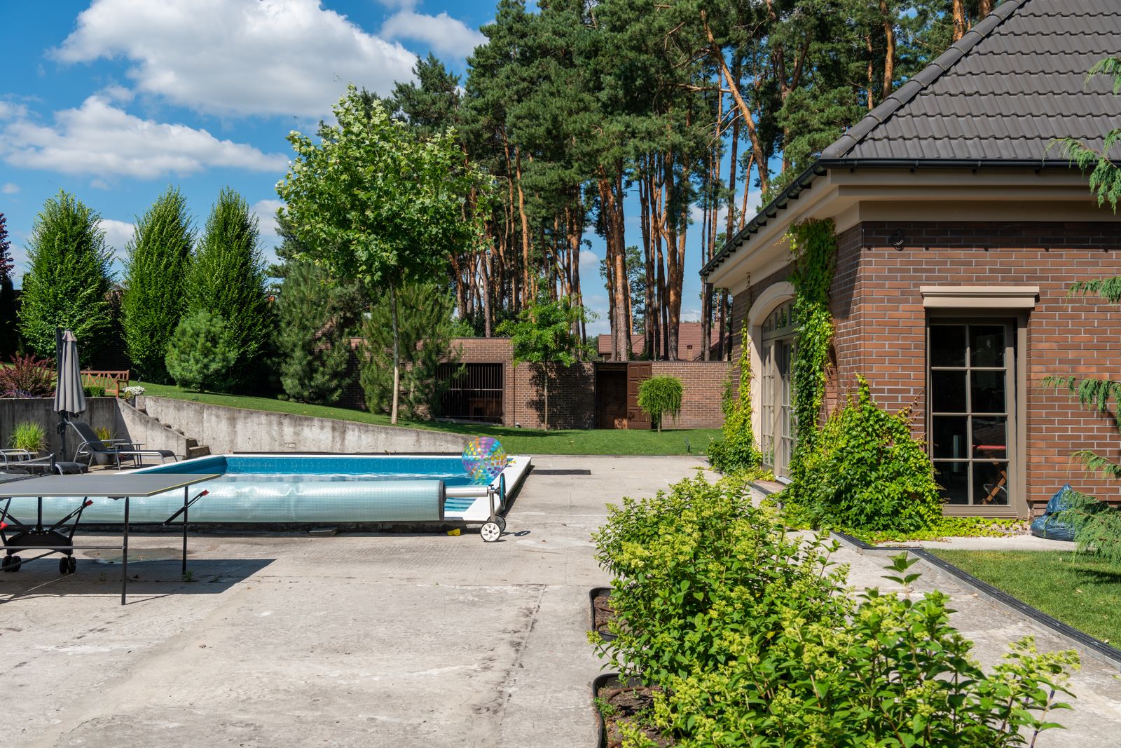 Dive In — Filca Pools